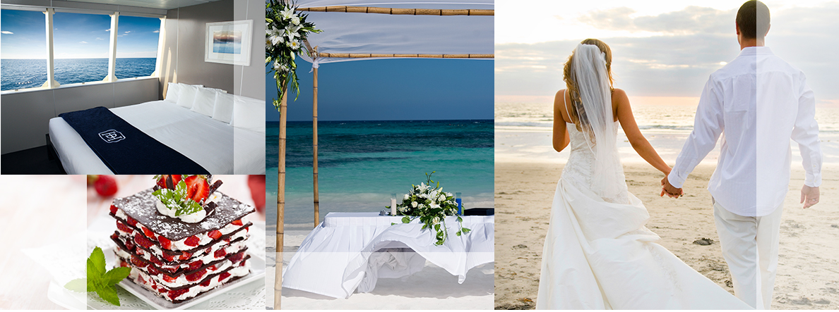 Auckland Weddings Venue