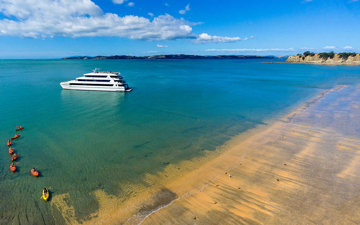 Hauraki Gulf islands
